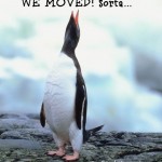 Nothing But Penguins Moved