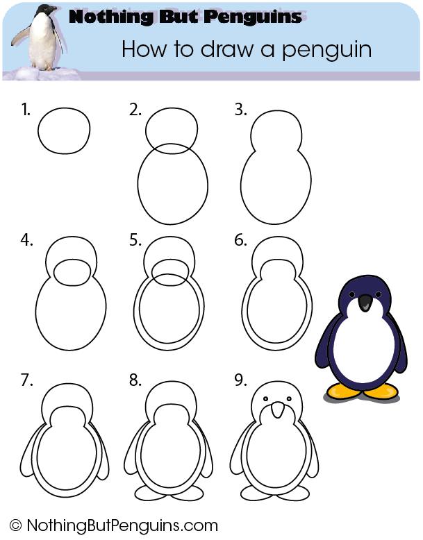 How To Draw Penguin Easy For Kids : Innovative & simple penguin crafts