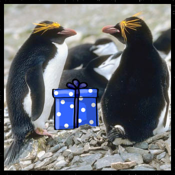 penguin gifts