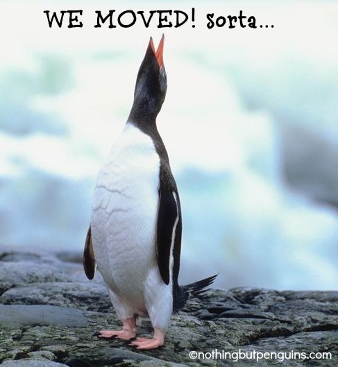 Nothing But Penguins Moved